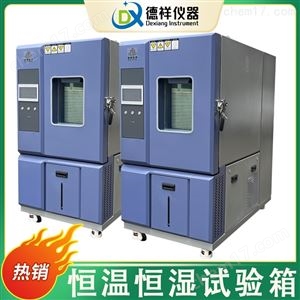 DR-H202快速升降温恒温恒湿试验机