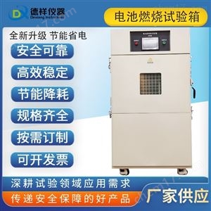 DR-D207K防爆设计电池燃烧喷射试验箱