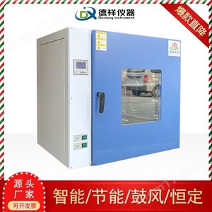 DR-H207-3L电子元件老化电热鼓风干燥箱